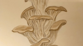 1000075201