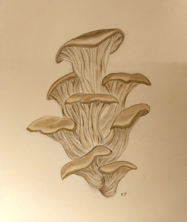 1000075201